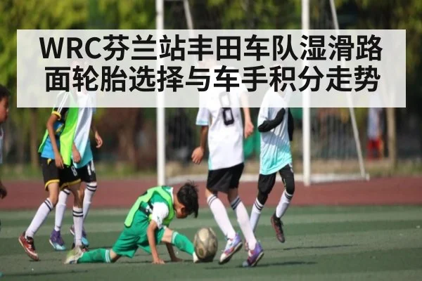 WRC芬兰站丰田车队湿滑路面轮胎选择与车手积分走势